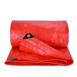 LONAS 30X40 TIGER ROJA .